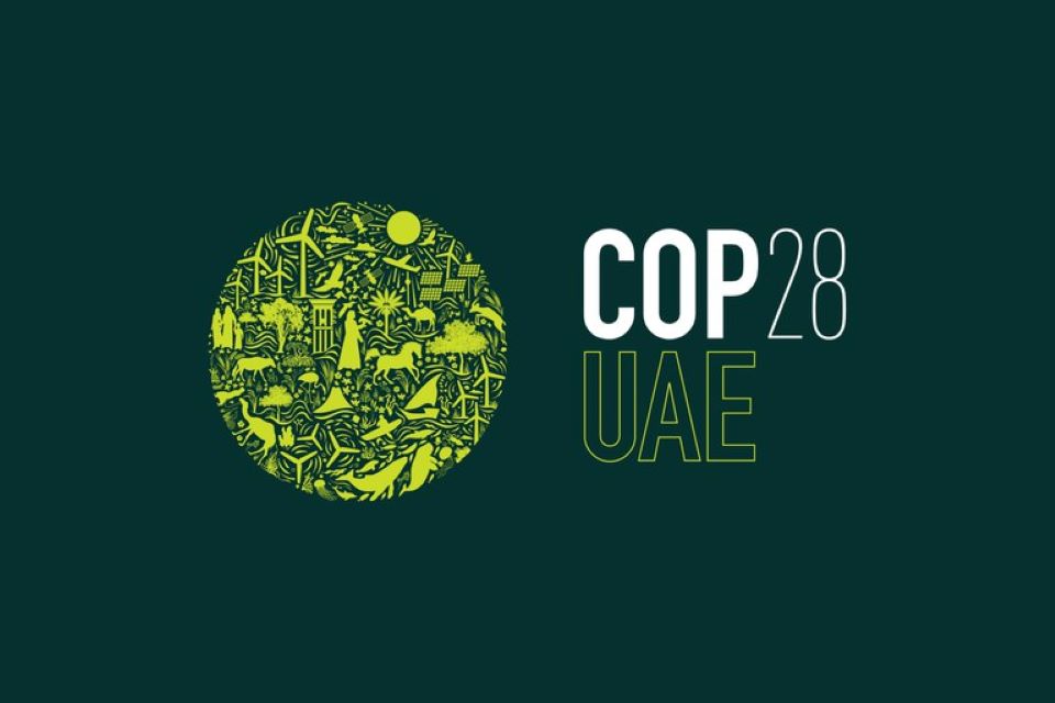 CCS Brasil apresentará painel sobre o potencial brasileiro na remoção de carbono durante a programação da COP 28